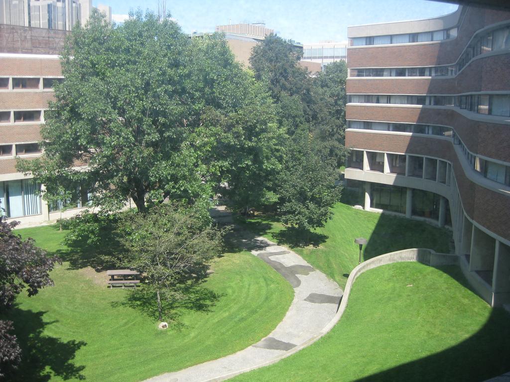 Of - New College - Wilson Hall Appartement *